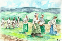 Ik16